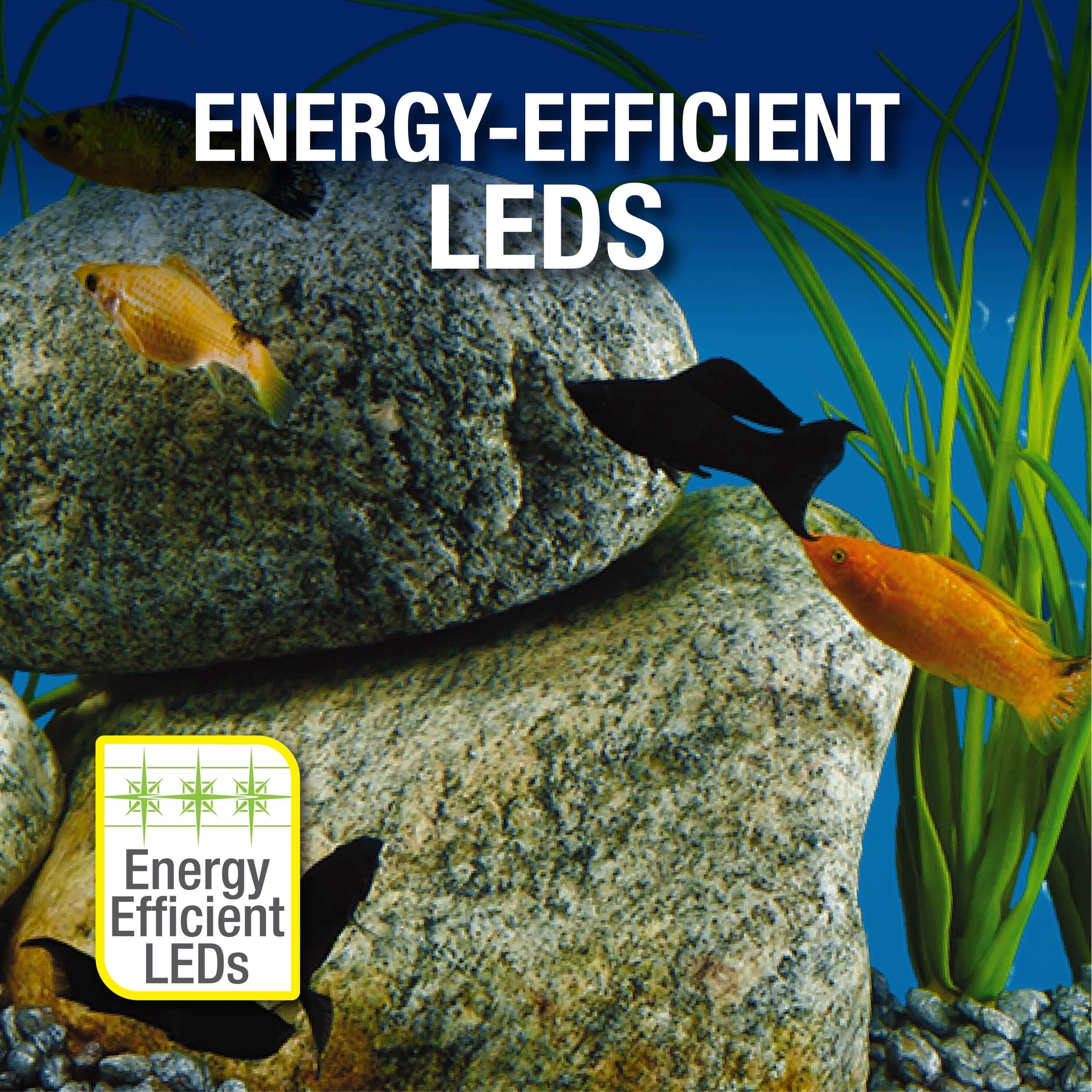 Tetra 10 Gallon Glass LED Aquarium Kit