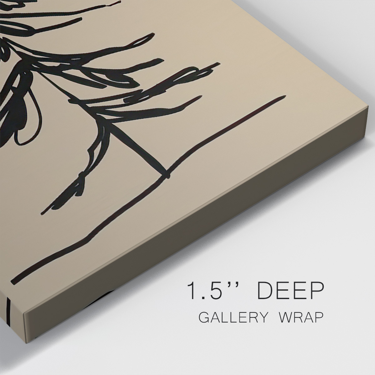 Winter Fir Sketch I- Gallery Wrapped Canvas