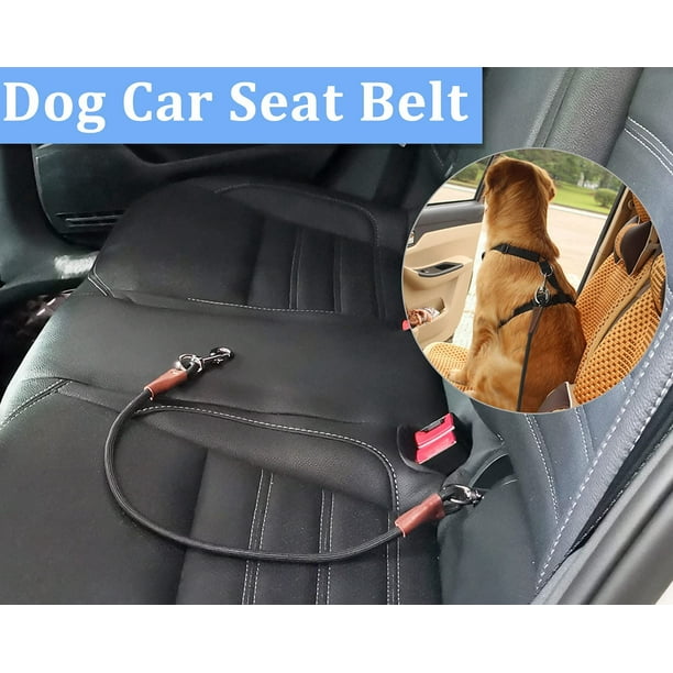 Dog car seat restraint cheap