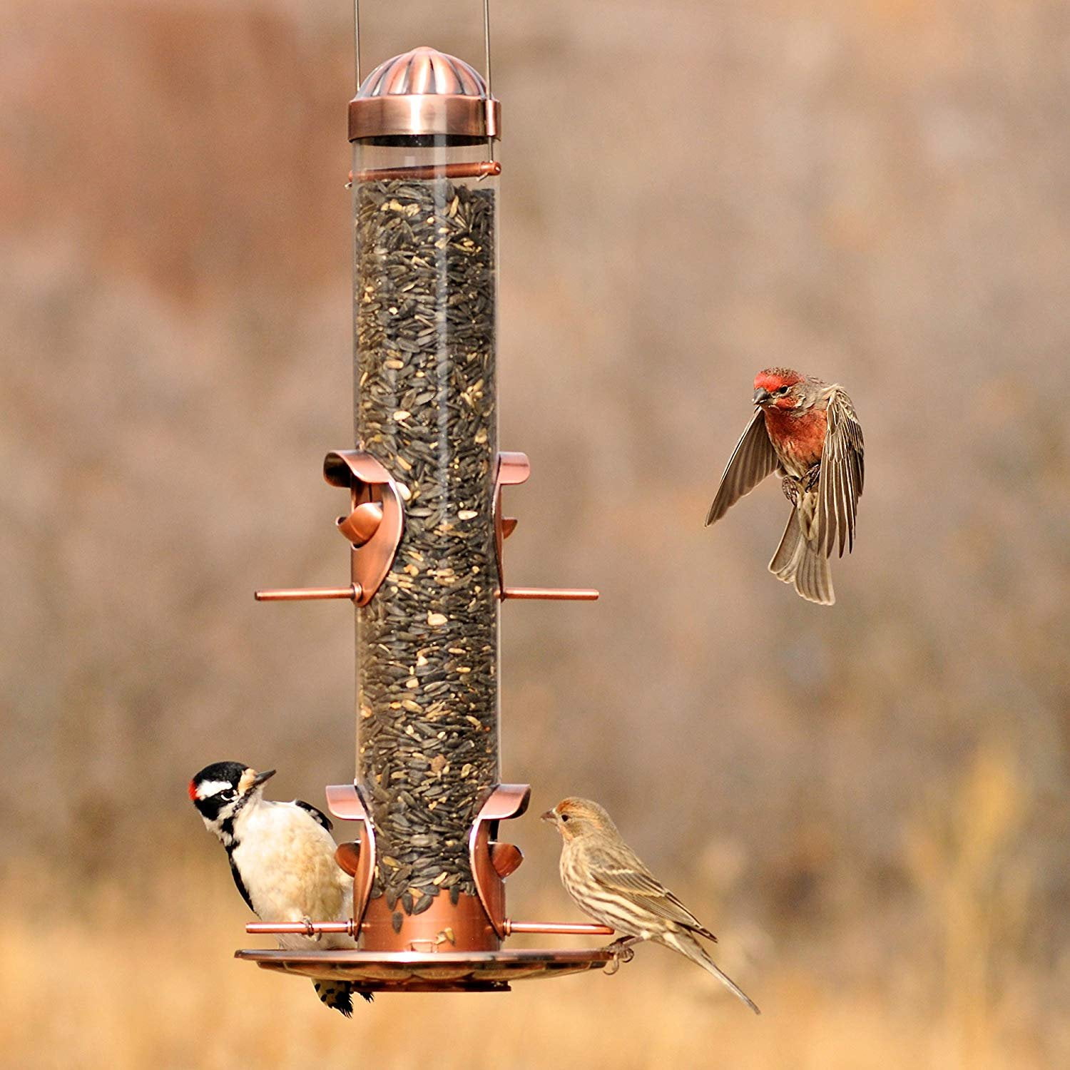 Perky-Pet Copper Finish 2-in-1 Wild Bird Tube Feeder - 1.8 lb Capacity