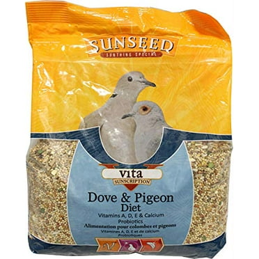 What Bird Seed Do Doves Eat: Top Choices to Attract Them Fast