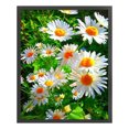 thumbnail image 1 of Cuadros Decorativos Bordado completo Hilo de algodón ecológico 11CT Impreso Margarita Kit de punto de cruz Obra de arte(1) Tmvgtek embutido en tela, 1 of 9
