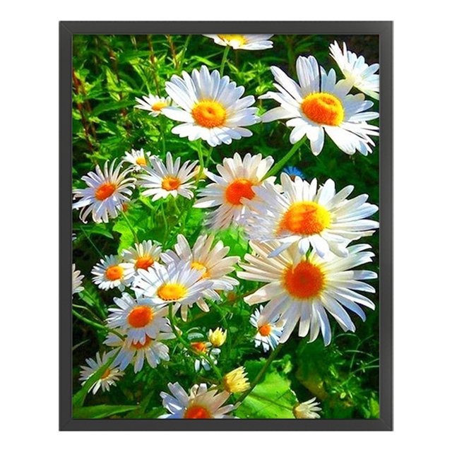 Cuadros Decorativos Bordado completo Hilo de algodón ecológico 11CT Impreso Margarita Kit de punto de cruz Obra de arte(1) Tmvgtek embutido en tela