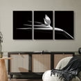 thumbnail image 3 of wall26 Canvas Print Wall Art Black and White Birds of Paradise Flower Nature Plants Photography Modern Art Mid-Century Modern Close-Up for Living Room, Bedroom, Office - 24"x36" x 3 Panels, 3 of 5