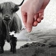 thumbnail image 4 of FREEAMG Puzzle- Highland Cow Jigsaw Puzzles,1000 Piece Puzzles for Family - Fun Intellectual Decompressing Educational Games, 4 of 7