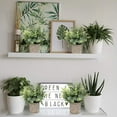 thumbnail image 4 of TETOU 2Pcs Small Fake Plants, Eucalyptus Potted Artificial Plant, Tabletop Artificial Green Plant for Shelf Desk Home Bathroom Farmhouse Room Coffee Table Decoration, 4 of 6