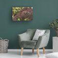 thumbnail image 4 of Kurt Shaffer Photographs 'Red Berries Of October' Canvas Art, 4 of 4