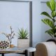 thumbnail image 3 of Toystoory Plantas suculentas de larga duración - Plantas suculentas de aspecto natural y bajo mantenimiento Falsas Decoración, 3 of 6