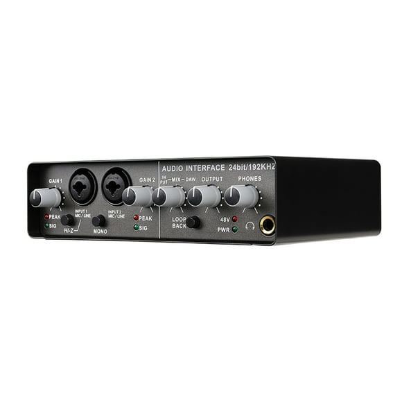 Scienceny Sonido excepcional Tarjeta de sonido USB de 24 bits/192 KHz con alimentación de 48 V Entrada de 2 vías y salida de 4 Artesanía