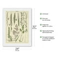 thumbnail image 2 of Grasses Gramineae (Poaceae) - Barley Rye Wheat and Corn Silk - Vintage Botanical Illustration c.1895 - Japanese Unryu Rice Paper Art Print 24 x 32 in, 2 of 4