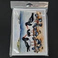 thumbnail image 3 of Carolines Treasures DAC7521GCA7P 5 x 7 in. Oystercatchers Feeding Greeting Cards - Pack of 8, 3 of 3