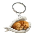 thumbnail image 1 of Cat Dog Sleeping Angel Acrylic Keychain V8Q2, 1 of 5