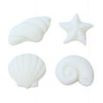 thumbnail image 2 of Oasis Supply Seashells and Starfish Sugar Decorations, 12 Count, 2 of 4