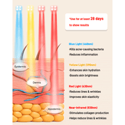 Red Light Therapy for Face, 4 Modes Led Face Mask Light Therapy with Travel Bag, 850NM near Infrared, 5 Brightness Levels Red Light Mask for Facial Skincare