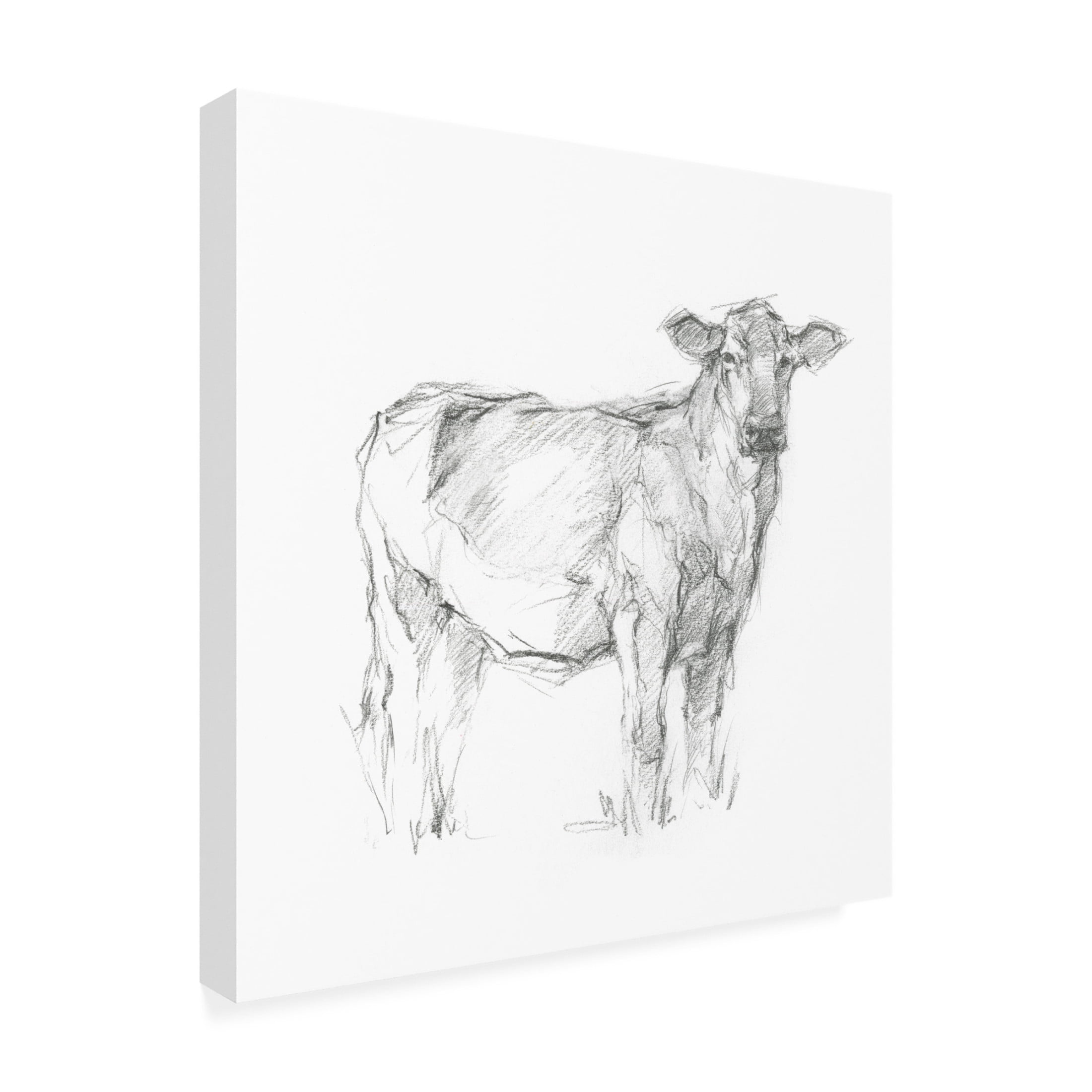 Canvas Wall Art - Ethan Harper 'Bovine Study I' Wall Art for Living Room, Bedroom, or Office Décor by Trademark Fine Art - 35 x 35 Inches