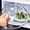 Silver, variant on Professional Microwave Food Anti-Sputtering Cover with Handle Heat Resistant Lid for Microwave Food Dropshipping,PP
