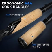 KastKing Casting Spinning Fishing Rods,Travel Rod with Titanium Solid Tip, Power Transition System-Megatron Titanium Telescopic Rod