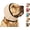 Beige, variant on Zenpup, Zen Pup Noise Cancelling Ear Wrap, Calm Paws Ear Muffs Shield