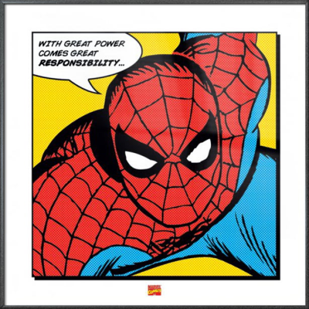 The Amazing SpiderMan Framed Marvel Comics PopArt