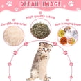 thumbnail image 2 of Jouet pour Chat Oreiller Doux et durable Jouet Interactif Intérieur, 2 of 4