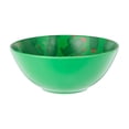 thumbnail image 1 of Bowl Way to Celebrate Redondo de Melamina con Estampado de Cactus para Alimentos, 1 of 4