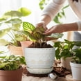 thumbnail image 4 of Ceramic Planters for Indoor Plants - 5 Inch Plant Pot for Outdoor Plants Succulent Planter with Drainage Hole and Saucer Flower Pot for Room Decor White, 4 of 14