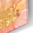 thumbnail image 3 of Epic Art 'Floral Soak' by Cindy Jacobs, Acrylic Glass Wall Art, 12"x12", 3 of 8