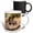 Multicolor, variant on 3drose, Pine County. Captive Spotted Skunk., 11oz Mug
