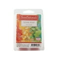 thumbnail image 1 of Scentsationals Sucre Riche 2,5 oz Fondants de Cire Parfumés - 6 Cubes de Cire Parfumés, 1 of 2