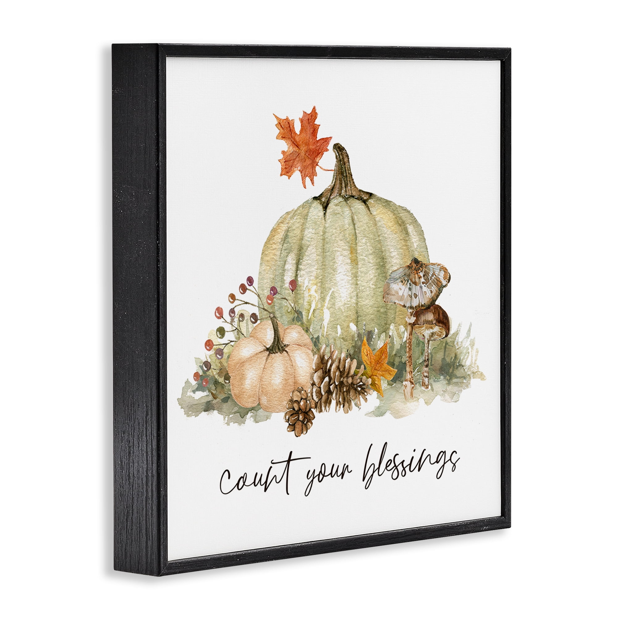 Stupell Industries Count Your Blessings Botanical & Floral Painting Black Framed Art Prints Wall Art, 17 x 17