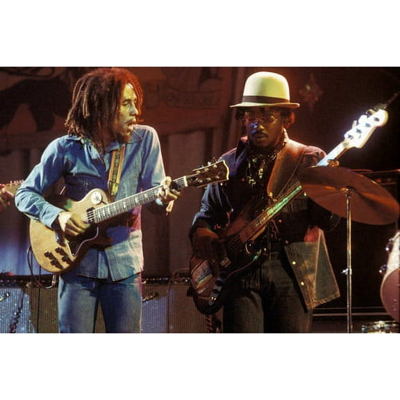 Bob Marley Color in Concert 24x36 Poster