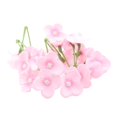 thumbnail image 2 of 20 cabezas de flores artificiales ramo pinza de cabellero para decoración para hogar Rosa 1 Soledad Pétalos de flores artificiales, 2 of 8