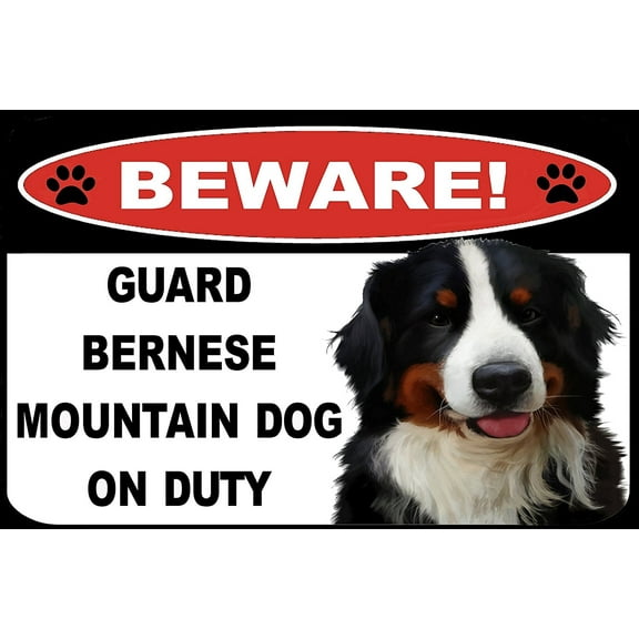 Beware Guard Bernese Mountain Dog on Duty (v1) 9 inch x 11.5 inch Laminated Dog Sign