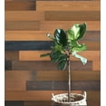 thumbnail image 2 of HomeRoots 478480 0.25 x 5 x 48 in. Thermo Treated Brown Rustic Wood Large Wall Plank Set, 2 of 5