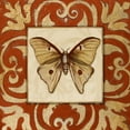 thumbnail image 2 of Pinto, Patricia 12x12 White Modern Wood Framed Museum Art Print Titled - Moroccan Butterfly II, 2 of 4