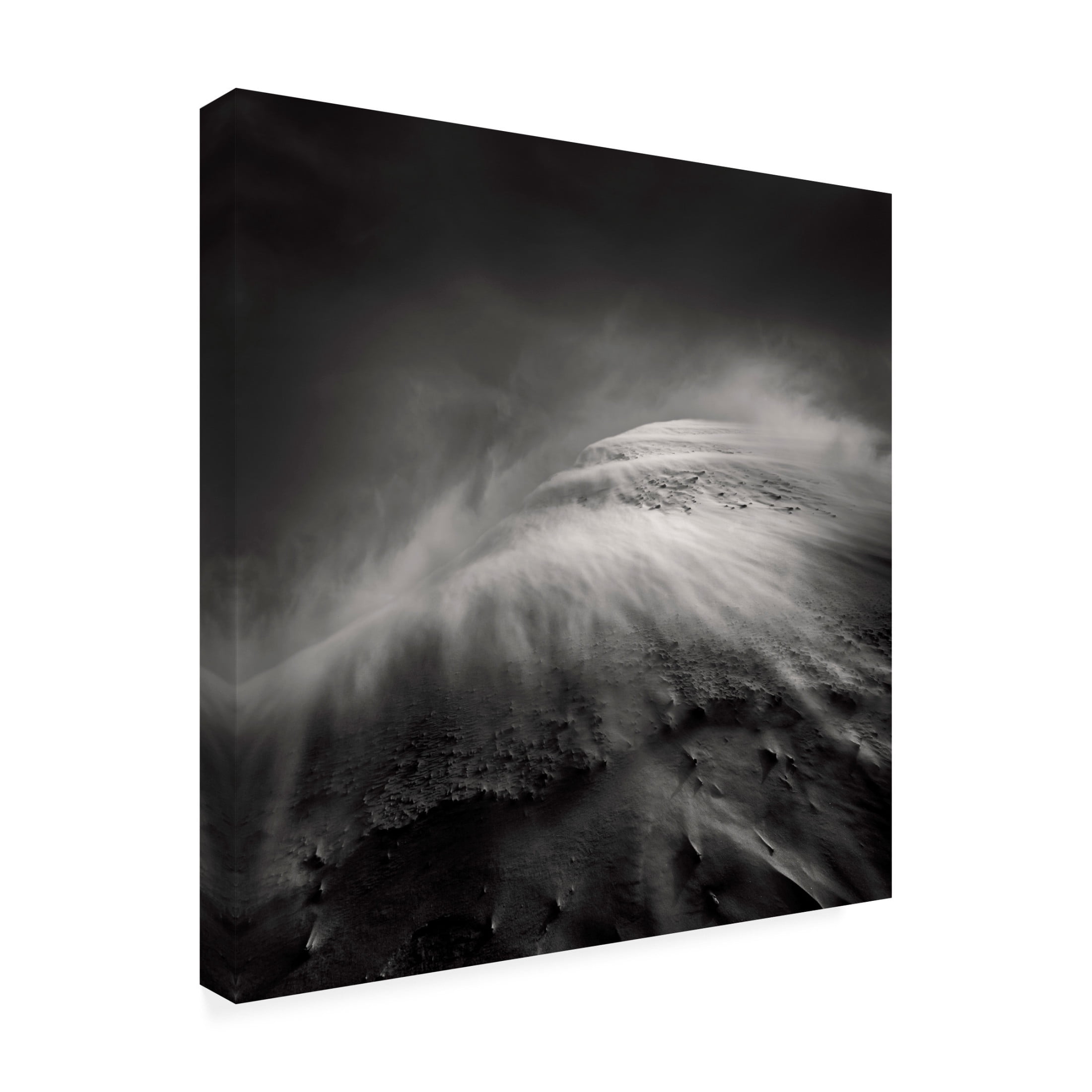 Trademark Fine Art Jean Luc BILLET  Sandwind Vent de Sable Canvas Wall Art