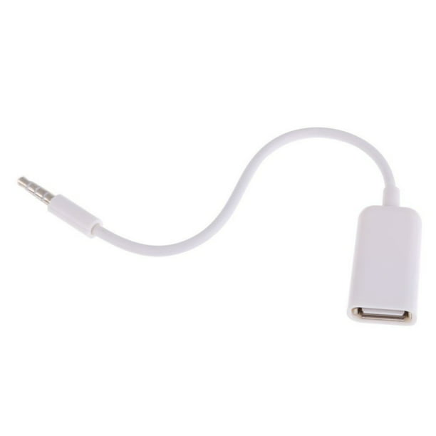 Være Fremmed stenografi USB Female to AUX 3.5mm Male Jack Plug Audio Converter Cable - Walmart.com