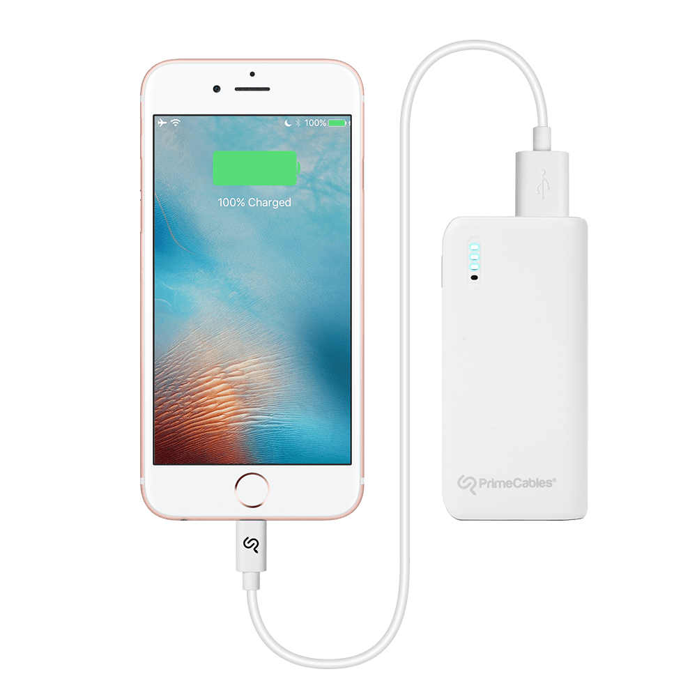PrimeCables® 4000mAh Portable External Battery Charger Power Bank Walmart Canada