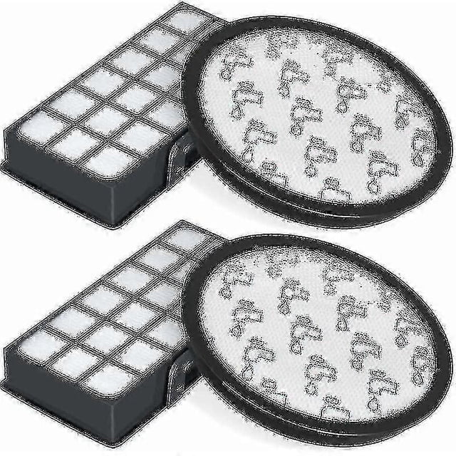Set Of 2 Hepa Filters For Rowenta Silence Force Cyclonic 4aaaa Ro7647ea Ro7663ea Ro7676ea Ro7681ea (model Ro76xx) Vacuum Cleaners, Replacement Filter_