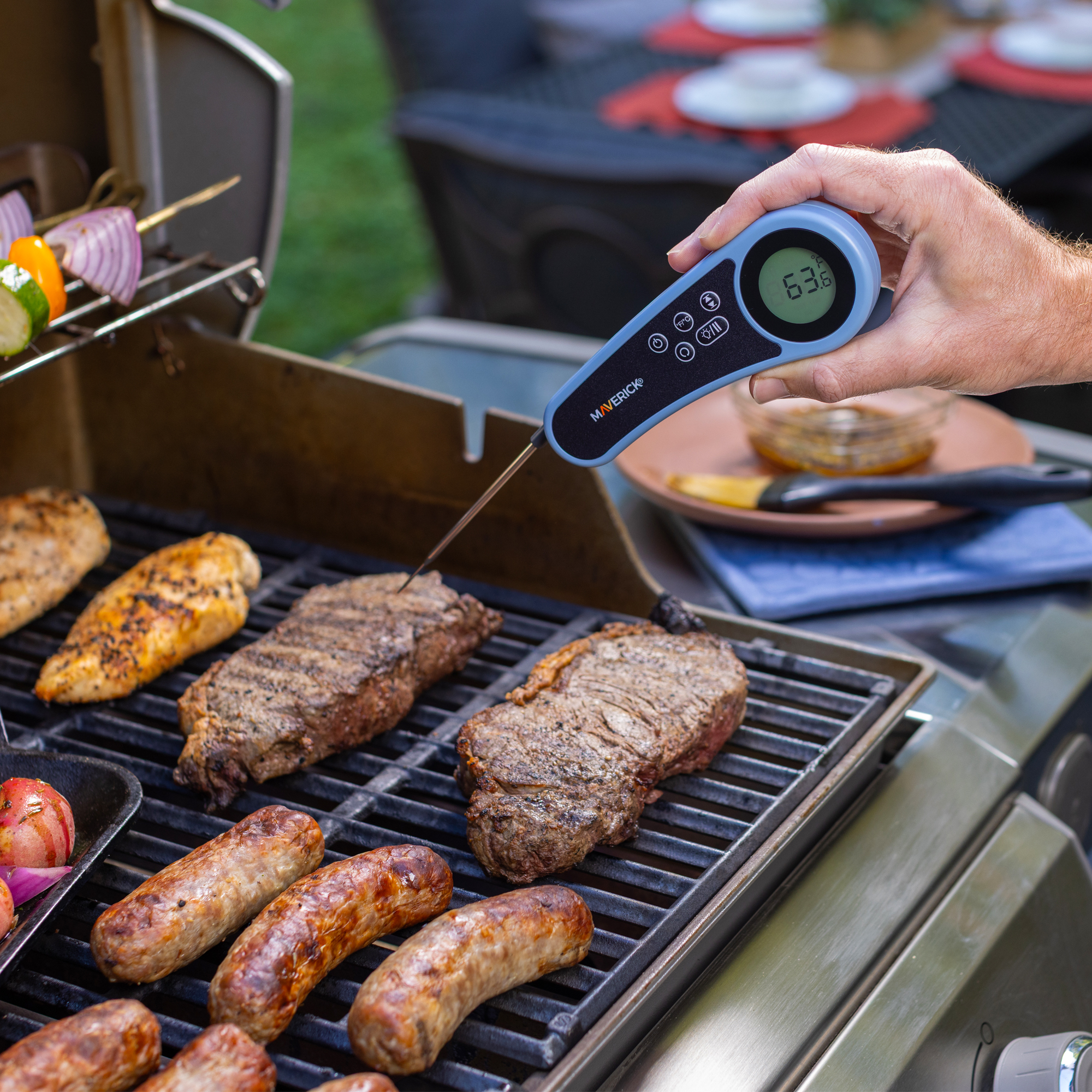MEAT THERMOMETER FOLD (Pack of 1)