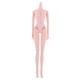 thumbnail image 5 of 1/6 partes del cuerpo desnudo de muñeca BJD con suministros para femeninas grandes y pequeñas Hugo Partes del cuerpo de la muñeca BJD Girl, 5 of 10