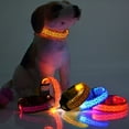thumbnail image 1 of Flmtop Collier pour Animaux de Compagnie Collier de Sécurité Lumière de Nuit Motif Léopard LED Sangle de Cou Rouge, 1 of 8