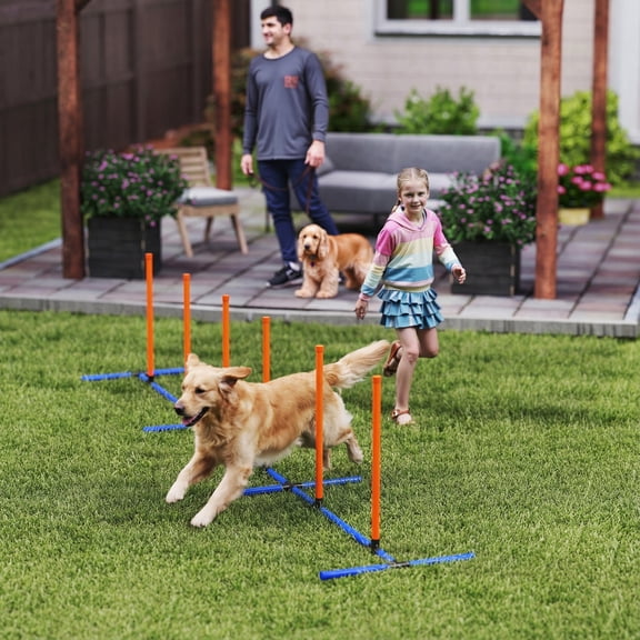 PawHut Adjustable Dog Agility Training Equipment, Dog Agility Course Backyard Set with Weaves Poles, Carry Bag and Ground Stakes for Pet Exercise