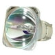 Lutema Platine pour Lampe de Projecteur NEC NP4000 (Ampoule Originale Philips) – image 1 sur 5