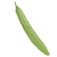 thumbnail image 1 of OULII Fake Gourds Bitter Gourd Model PU DIY Project Material Dining Table Decoration 1Pcs, 1 of 7