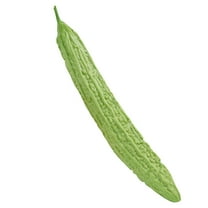 WRITWAA Artificial Long Bitter Gourd in Green, Realistic Gourds Design for Home Decoration, 1 Pack