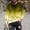 Yellow, variant on Royisotas Gradient Color T Shirts for Men Loose Fit Tops Pullover Long Sleeve Crewneck Fashion Big and Tall Mens Shirts Casual