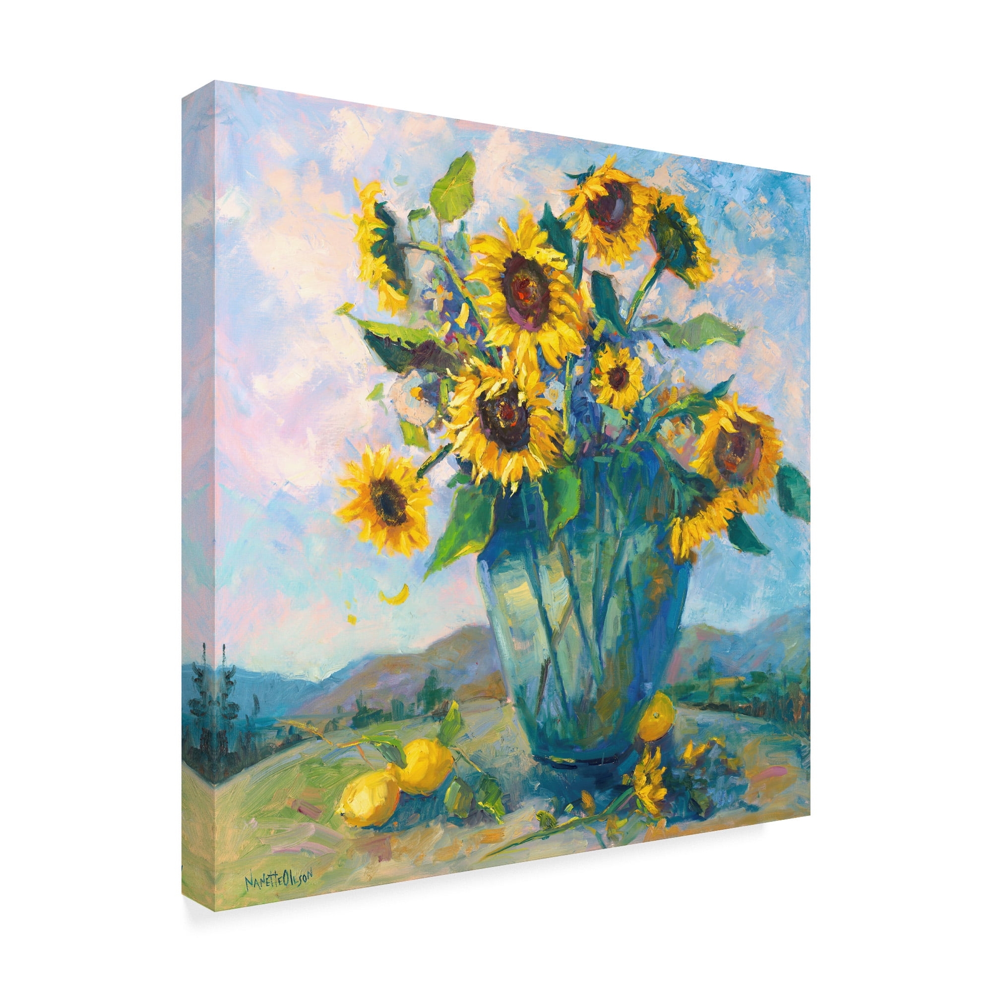Trademark Fine Art 'Floral Kaleidoscope III' Canvas Art by Nanette Oleson