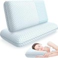 thumbnail image 1 of Almohadas de espuma viscoelástica CushyOasis tamaño Queen, juego de 2, azul, 1 of 7