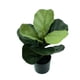 thumbnail image 3 of Planta Artificial Decorativa Casa y Concepto CC152, 3 of 3